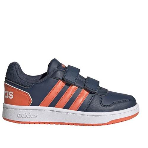 scarpa Adidas Hoops 20 Cmf C