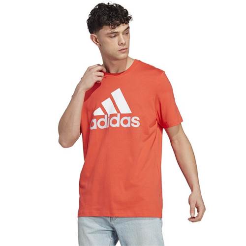 Magliette Adidas Big Logo SJ